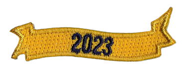 carnaval emblemen carnavals embleems bestellen laten maken bestellen 2023 kopen borduren