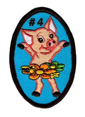 scout scouting emblems badges order insignia 38