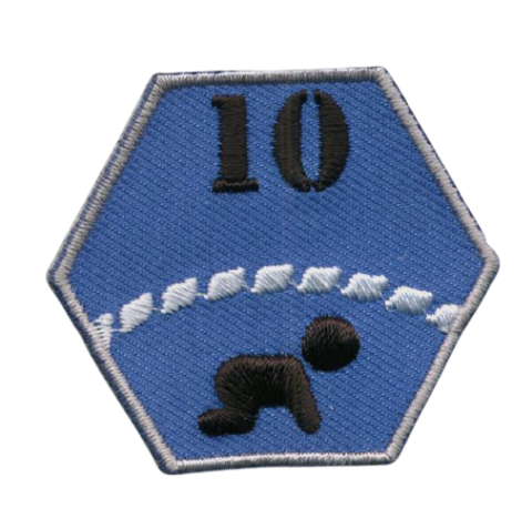 scouting badges insignes emblemen vlag-asten maken kopen vaardigheidsinsignes 1