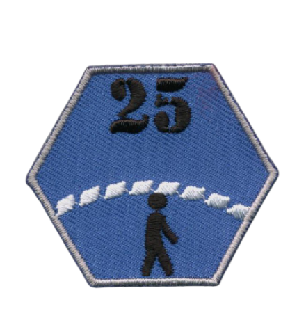 scouting badges insignes emblemen vlag-asten maken kopen vaardigheidsinsignes 2