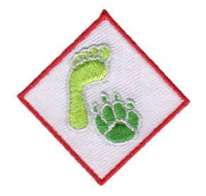 scouting chiro emblemen badges patches kentekens bestellen laten maken kopen 4