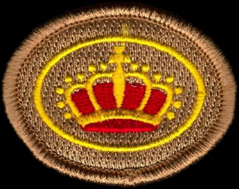 scouting chiro insignes kentekens speltakteken emblemen badges laten kopen100